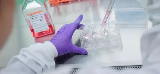 A close-up of a researcher in a lab, wearing gloves and working with a syringe.