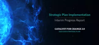 The text "Catalyst for Change 2.0 Interim Progress Report", with an abstract burst of blue in the background.