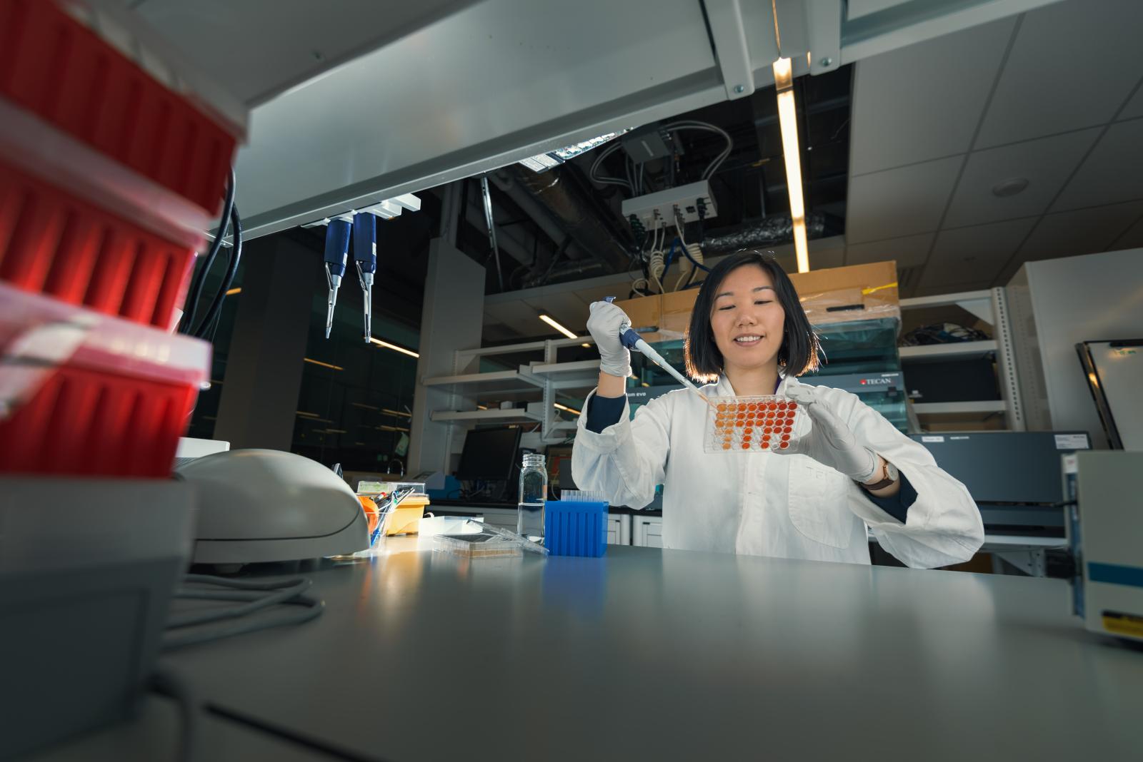 Jennifer Chiang, research assistant in the Nislow Lab, prepares plates for an experiment. Image Credit:&nbsp;Ivan Yastrebov, UBC Pharm Sci.